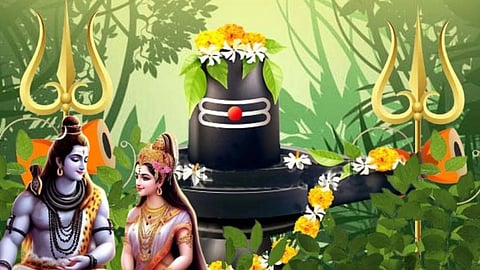 हरियाली तीज के दिन महिलाएं ये 7 काम करना न भूलें, मिलेगा मां पार्वती का आशीर्वाद