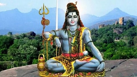 हरियाली अमावस्या के दिन किन उपायों को करने से मिल सकती है पितृ दोष से मुक्ति