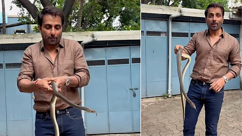 सावन में सोनू सूद को महादेव का साक्षात दर्शन, एक्टर ने हाथ में उठा लिया सांप