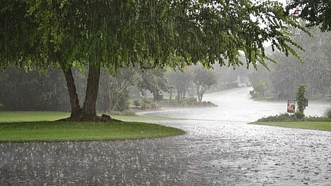 IMD Heavy Rain Alert