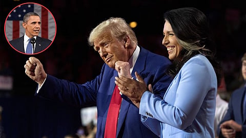 tulsi-gabbard