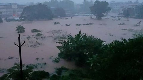 Gadchiroli News: गड़चिरोली में पिछले 2 महीनों से हो रही भारी बारिश के कारण जिले में भारी नुकसान हुआ है। भारी बारिश के कारण पिछले 2 महीनों में 5 लोगों के मौत की खबर सामने आ चुकी है। Gadchiroli News: गड़चिरोली में पिछले 2 महीनों से हो रही भारी बारिश के कारण जिले में भारी नुकसान हुआ है। भारी बारिश के कारण पिछले 2 महीनों में 5 लोगों के मौत की खबर सामने आ चुकी है।