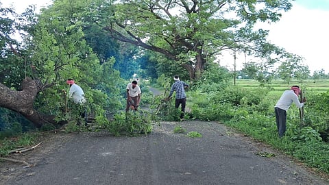 Bhandara Lates News: भंडारा जिले में नागरिकों की शिकायतों को गंभीरता से लेते हुए पिडब्ल्यूडी विभाग और वन विभाग ने संयुक्त रूप से अभियान शुरू किया। इस अभियान के तहत पेड़ों की कटाई शुरू कर दी।