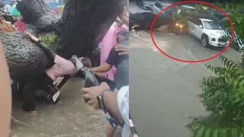 दिल्ली के कालकाजी में बाइक सवार बाप-बेटी पर गिरा पेड़, पिता की मौत, देखें खौफनाक VIDEO
