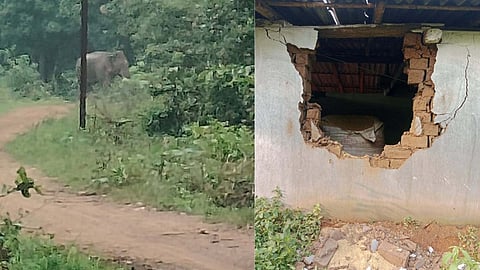 Gadchiroli Etapalli Tehsil Two tusker elephants created havoc