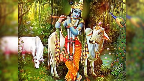जन्माष्टमी के दिन ले आएं बस यह चीज, गृहक्लेश होगा दूर, संतानप्राप्ति के बनेंगे शुभ योग!