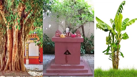 गुरुवार को करें ये विशेष उपाय, मिलेगी लक्ष्मीनारायण की कृपा, खूब बरसेगा धन!