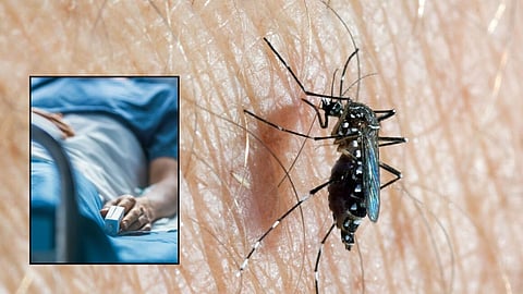 Dengue Cases In Akola: अकोला जिले में पिछले कुछ दिनों से भारी बारिश का सिलसिला जारी रहा। इस दौरान कई इलाकों में पानी जमा हो गया और डेंगू, मलेरिया जैसे मच्छरों का आतंक बढ़ गया है।