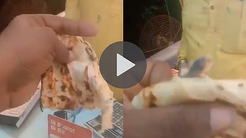 kanpur-restaurant-tandoori-roti-lizard-found-video
