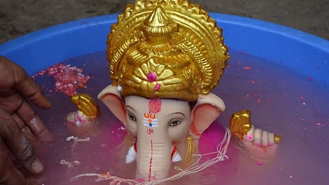 Appeal for environmental protection immersion at home