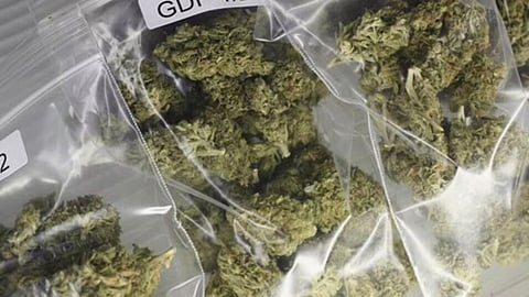 Ganja recovered