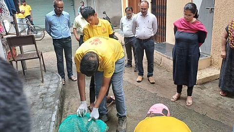 Nagpur News: नागपुर महानगर पालिका ने आवारा कुत्तों की नसबंदी के लिए मिशन रेबीज वैक्सीनेशन की शुरुआत की है। इस अभियान के तहत आवारा कुत्तों के लिए एबीसी कैंप तैयार किया गया है।