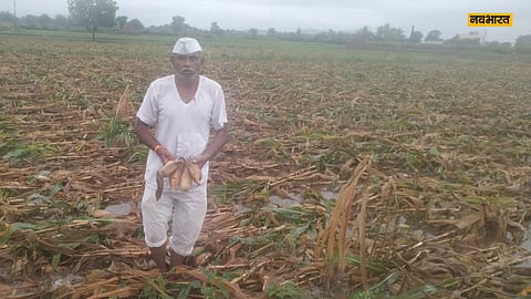 Nashik Rain damage