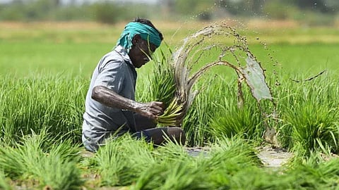 इस साल जून और जुलाई के महीने में भारी बारिश के कारण किसानों को तगड़ा नुकसान हुआ है। जिसके बाद भी इंश्योरेंस कंपनियां भी किसानों को नुकसान की भरपाई करने के वादे से मुकर गई है।