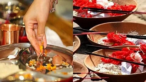 पितृपक्ष में कौए, कुत्ते और गाय को भोजन कराने की महिमा जानिए, और जानें कौवे किसके हैं प्रतीक