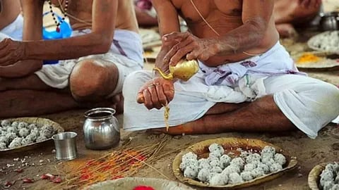 पितृपक्ष में गोदान की महिमा है अपरंपार, ज़रूर जानिए इस दान का महत्व, क्या कहता है गरुढ़ पुराण