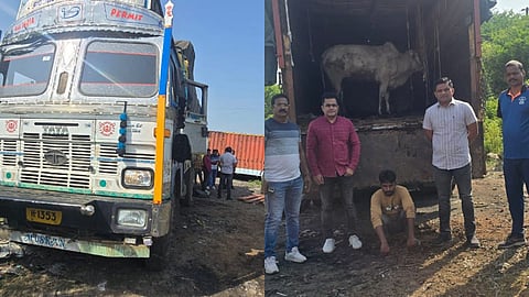 Amravati Crime Branch: अमरावती क्राइम ब्रांच ने नागपुरीगेट थाना क्षेत्र के नवसारी से लालखडी रिंग मार्ग के मन्नत पैलेस के पीछे स्थित मैदान में कत्ल के लिए लाए गए 29 गोवंश को छुड़ाया।