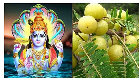 अक्षय नवमी की आ गई सही तिथि, इस मुहूर्त में करें पूजा, विधिवत पूजा से मिलेगा 'अक्षय-पुण्य'
