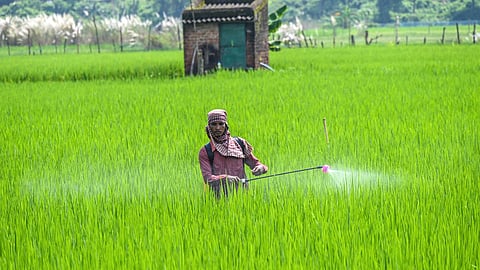 Nashik Agriculture Department: नासिक जिले में अब फर्जी किसानों पर लगाम लगाई जाएगी। कृषि विभाग ने फर्जी किसानों की जांच शुरू कर दी है। जिले में विभाग 6.5 लाख किसानों के ID की जांच करेगा।