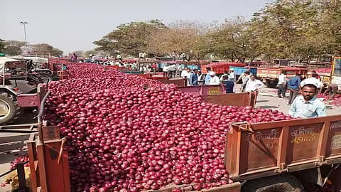 Baramati Onion Farmers Faces Crisis