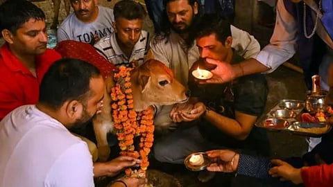 गोपाष्टमी के दिन गौ माता को खिलाएं ये चीज़ें, बनने लगेंगे बिगड़े काम, अड़चनें होंगी दूर!