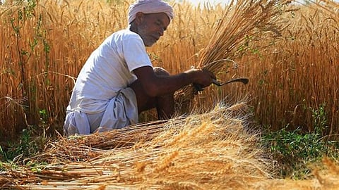 'दीपावली के बाद होगा भूमि का पंचनामा