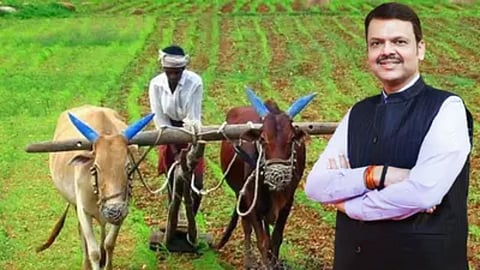 Maharashtra government suspended agricultural loan recovery in rain-affected tehsils