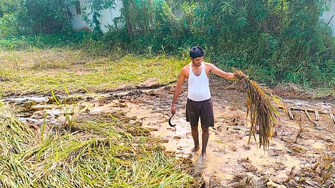 Nagpur News: राज्य सरकार ने अतिवृष्टि व बाढ़ से किसानों के हुए नुकसान की भरपाई के लिए आर्थिक मदद की घोषणा तो की है लेकिन उन्हें दिवाली से पहले मदद मिलेगी, इस पर संदेह जताया जा रहा है।