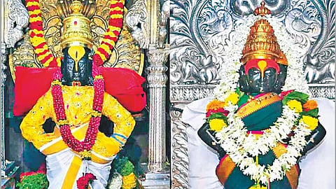 पंढरपुर मंदिर समिति के कर्मचारियों को चिकन मसाला बांटा!