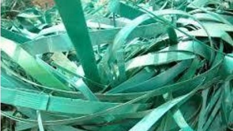 Bhandara Latest News: भंडारा के ग्रामीण भागों में धान कटाई के मौसम में तनस (धान के डंठल) से बनाए जाने वाले बंध के पारंपरिक व्यवसाय अब विलुप्त होते जा रहा है।