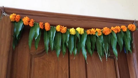 कितने दिनों में दरवाजे से हटा देना चाहिए आम के पत्ते का तोरण, वरना जानिए क्या होगा!