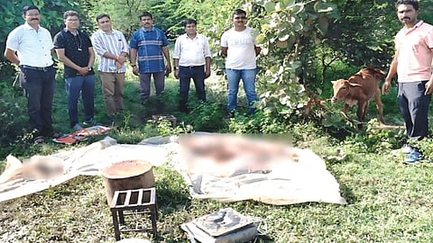 bhandaara-beef-racket-busted-two-arrested-main-accused-absconding