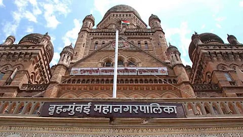bmc-plans-to-make-mumbai-rabies-free-by-2030