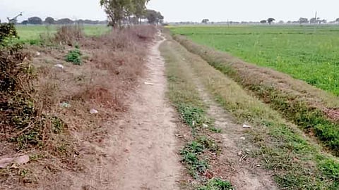 खस्ताहाल पगडंडी से ग्रामीण परेशान
