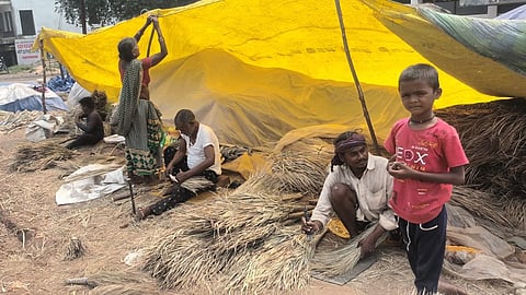diwali-broom-makers-poverty-bhandara-chhattisgarh-workers