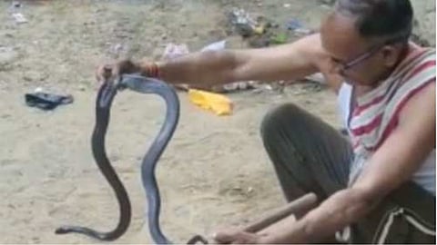 Maharashtra Latest News: कई सर्पमित्र सांपों को पकड़कर जंगल में छोड़ देते हैं, वे सांपों के साथ ही नागरिकों की जान बचाते हैं, लेकिन उन्हें सरकार की ओर से कोई मदद नहीं दी जाती है।