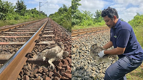 Chandrapur News: चंद्रपुर जिले के बल्लारशाह-गोंदिया रेलवे ट्रैक पर आए दिन कई जंगली जानवरों के मरने की खबर सामने आ रही है। अब ट्रेन से टकराकर एक उल्लू के घायल होने की खबर सामने आई है।