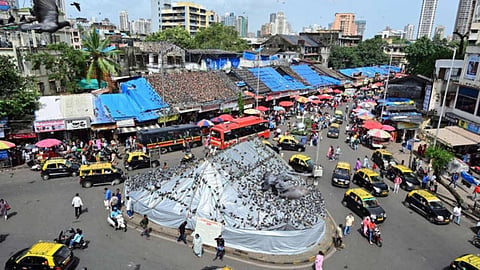 Dadar Pigeon Farm