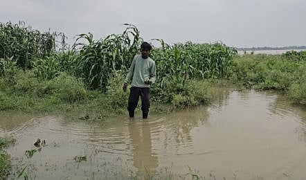 गोंदिया जिले को ‘गीला अकाल’ घोषित करें