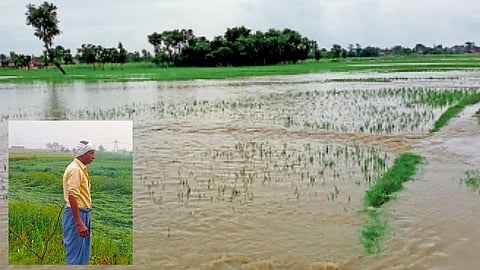गडचिरोली जिले के किसानों को 10 करोड़ का मुआवजा