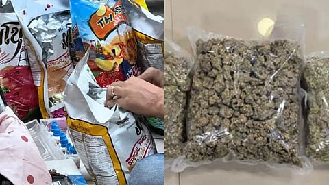Hydroponic Marijuana Drug seizes In Mumbai Airport