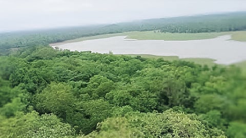प्राकृतिक सौंदर्य से भरपूर झरी तालाब पर उमड़ी पर्यटकों की भीड़