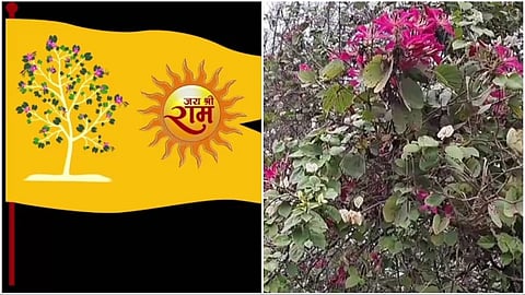 श्रीराम मंदिर के धर्म-ध्वज पर कोविदार वृक्ष की आकृति का क्या पौराणिक इतिहास और महत्व जानिए