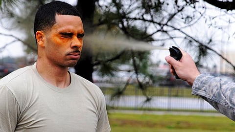 Mosquito Spray On Face