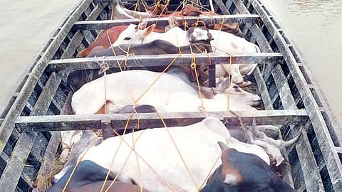 हिंगनघाट और गिरड थाना क्षेत्र में दो जगहों पर बड़ी कार्रवाई