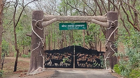 Bor Wildlife Sanctuary: 25 साल बाद बोर टाइगर रिजर्व के विस्तार को हरी झंडी मिली। इसके विस्तार के लिए 5 गांवों को विस्थापित किया जाएगा। इसमें 1100 से अधिक परिवारों का पुनर्वास तय हैं।