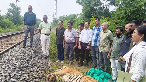 चंद्रपुर ट्रेन जंगली जानवरों से टकराई