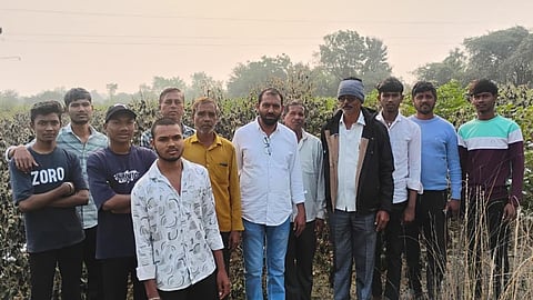 Cotton Crop Damage: कन्हान के आमड़ी गांव में केमिकल छोड़े जाने से कपास की फसल फिर बर्बाद। पांचवीं बार हुई घटना पर किसान आक्रोशित, कार्रवाई न होने पर आंदोलन की चेतावनी।