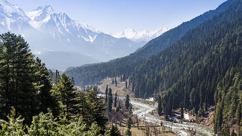 kashmir