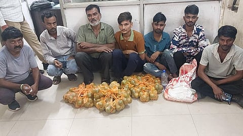 Railway Track Illegal Activity: नागपुर में रेलवे पटरियों के किनारे बैठकर अवैध गतिविधि करने वालों पर रेलवे सुरक्षा बल की बड़ी कार्रवाई। सीआईबी ने 9 लोगों को पकड़ा और संतरे जब्त किए।